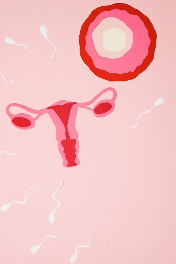 Abstract representation of sperms approaching an ovum, symbolizing fertilization on a pink background.