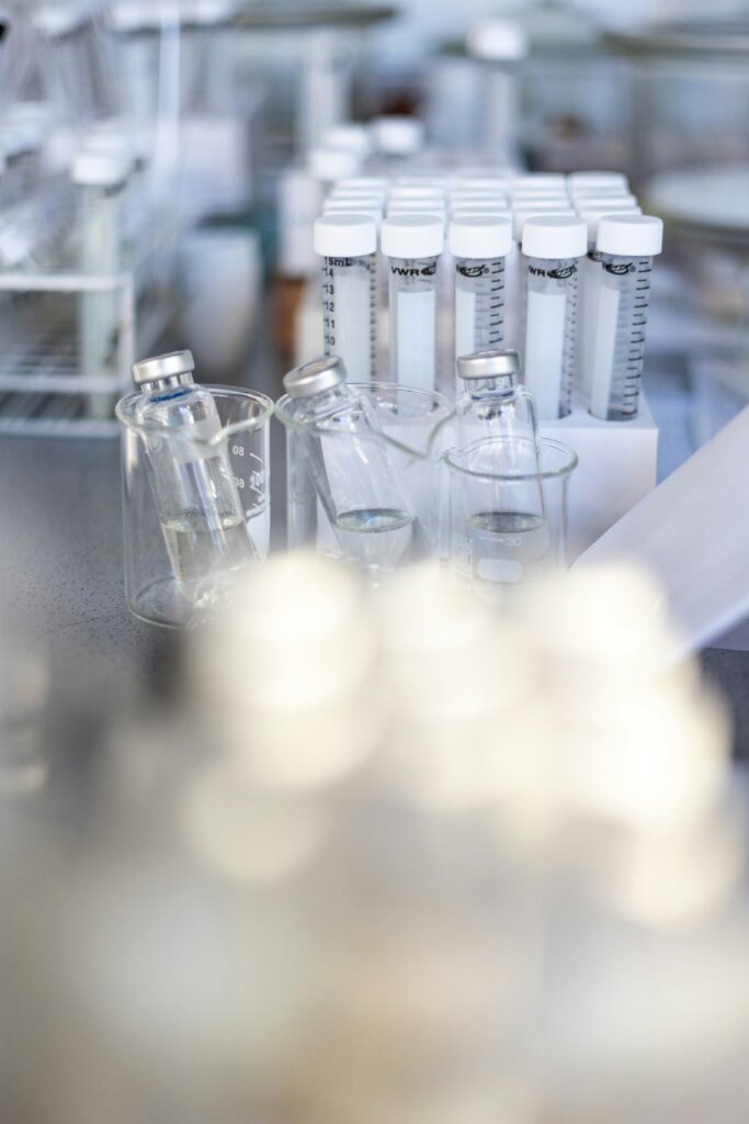 marvin radke vjgppvmtkoq unsplash